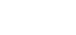 Steve Volkers Group